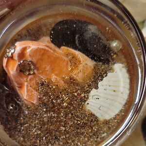 Glass And Resin Handmade Ocean Beach With Real Shells Mixed Media